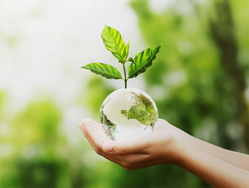 Định hướng chiến lược