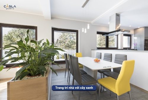 Mang thiên nhiên vào nhà qua những mẫu đá vân mây Caslaquartz